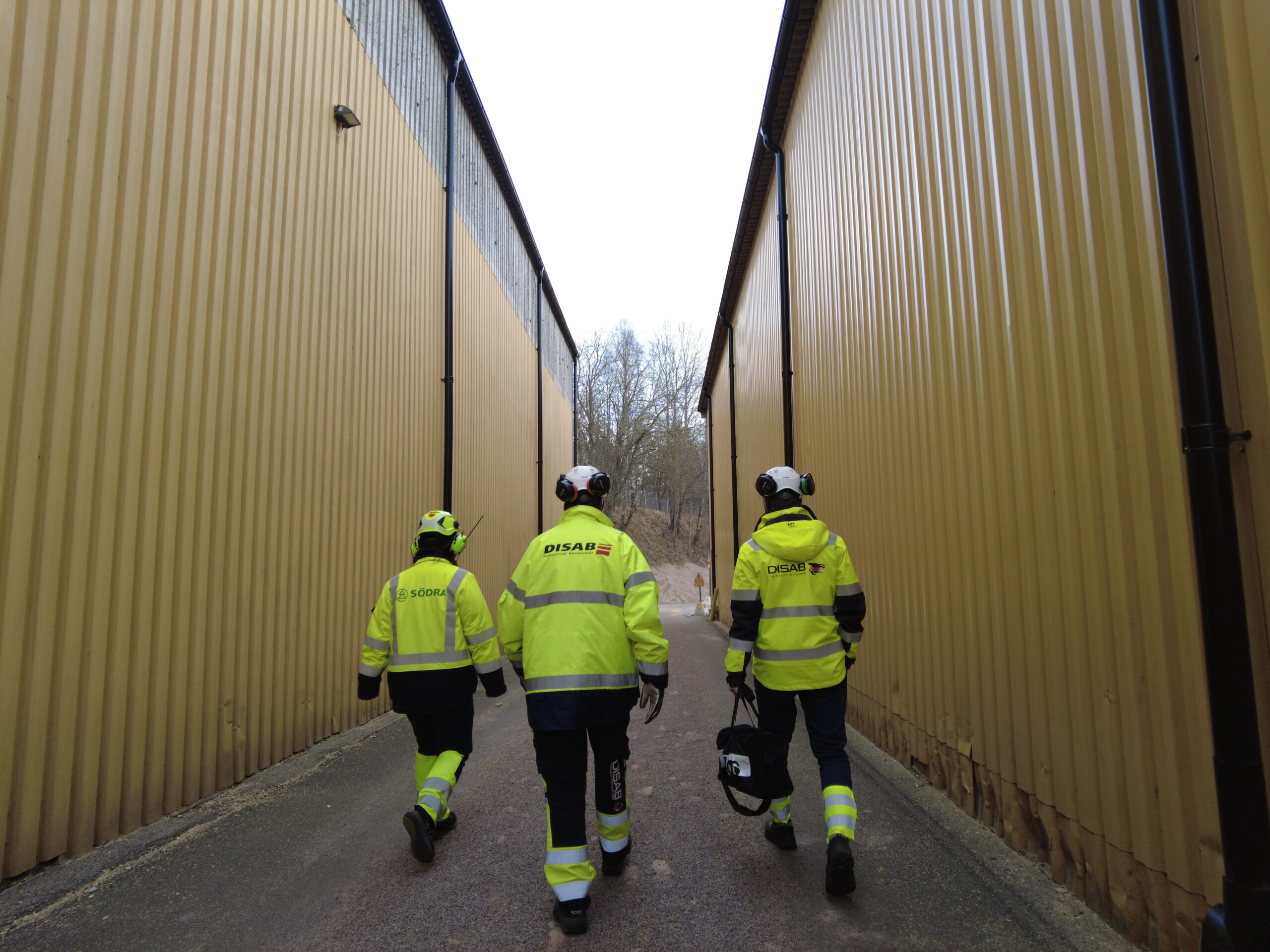 DCIM100MEDIADJI 0037.JPG